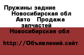 Пружины задние 2102-2104 - Новосибирская обл. Авто » Продажа запчастей   . Новосибирская обл.